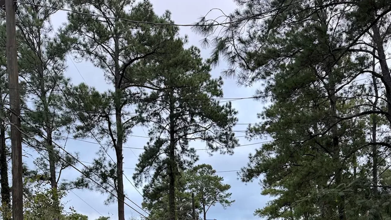 Dothan Power Crisis: 16,700 Customers Still in the Dark as Crews Assess Damage