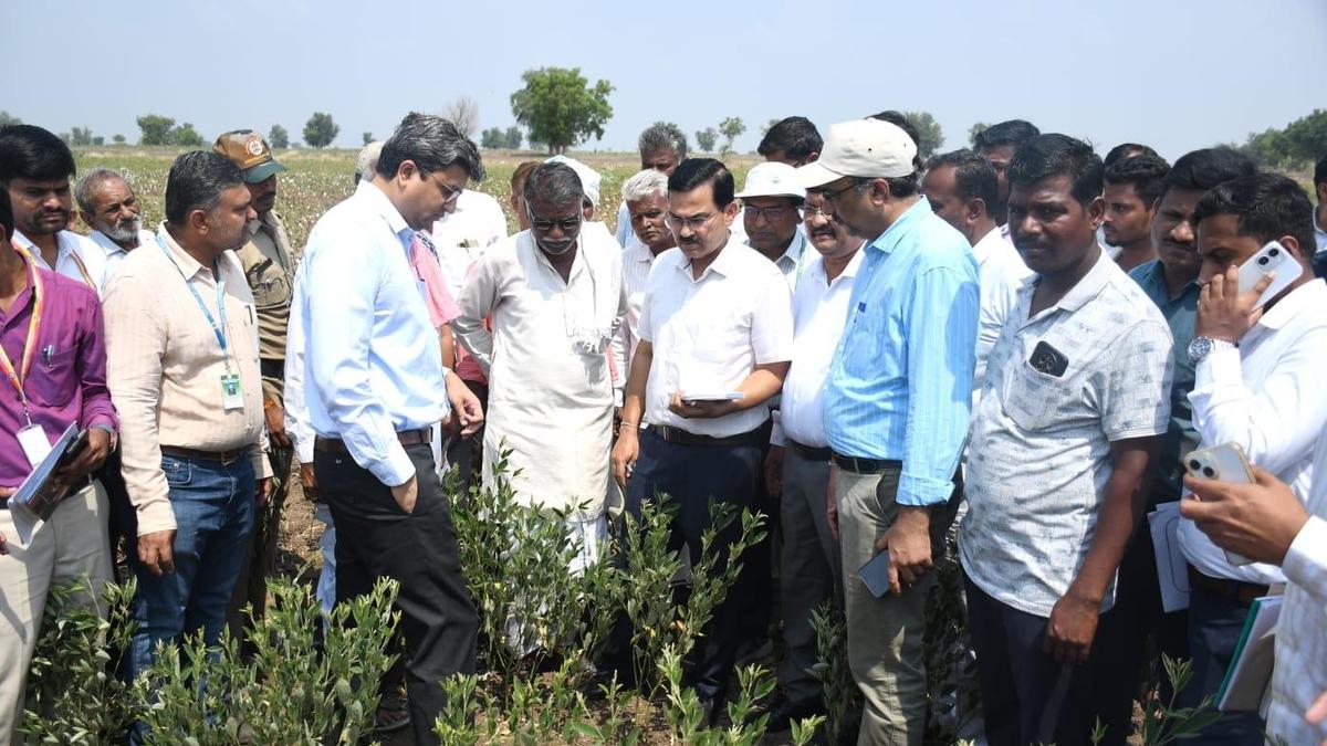 Drought Crisis Deepens: Central Team Rushes to Inspect Parched Yadgir and Raichur