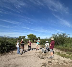 San Pedro River Nature Walk as Market Analysts Weigh Next Moves