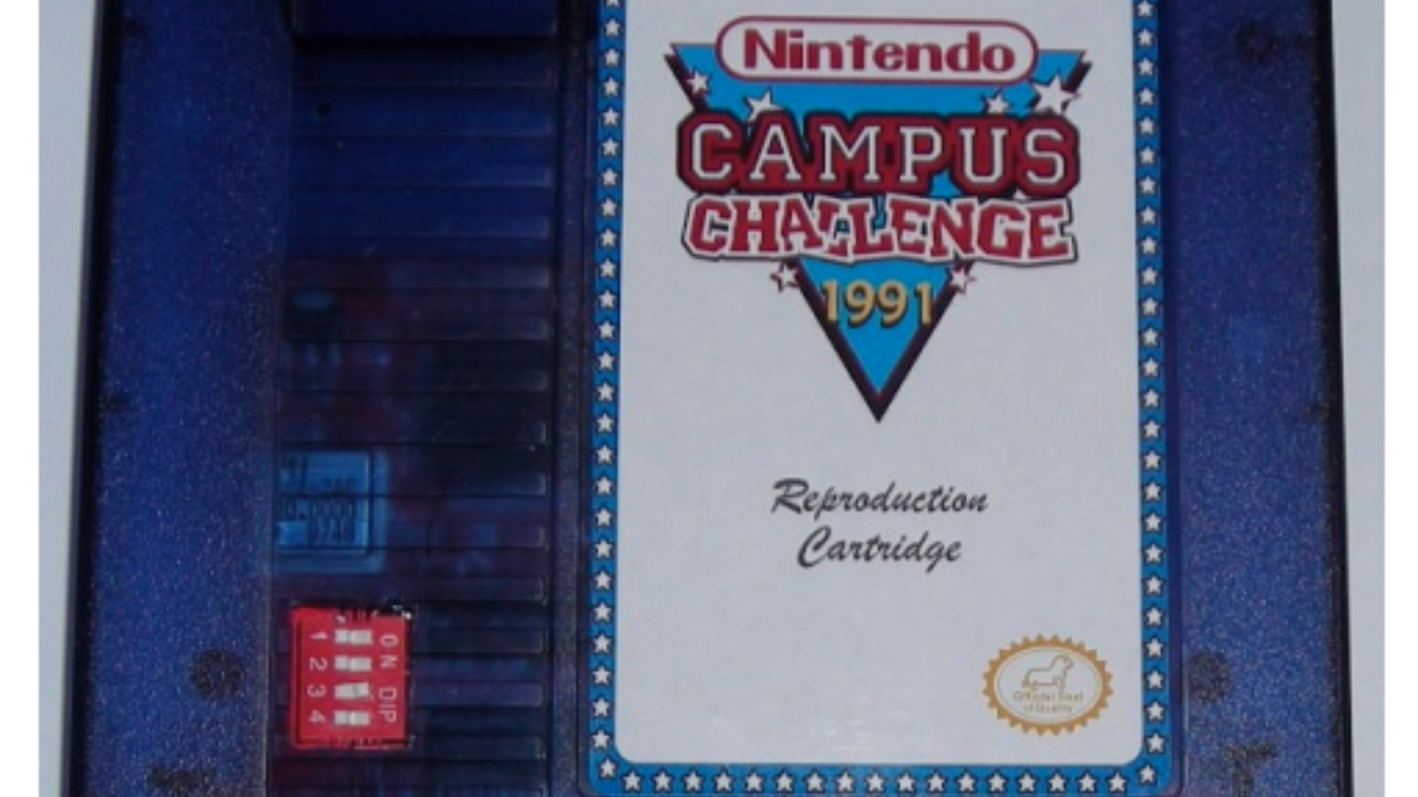 Rare Nintendo Cartridge Found at New York Garage Sale Later Sold for $20,100