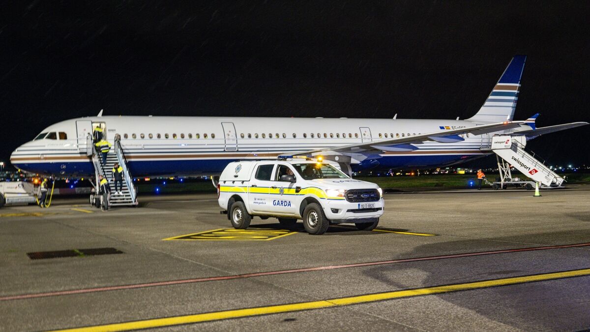 Nigerian Criminals Deemed Too 'high Risk' to Deport on Commercial Flight Removed on Charter Aircraft