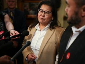 Why Rochelle Olson: What If We Reversed the Genders at St. Paul City Hall Has Sparked Heated Debate