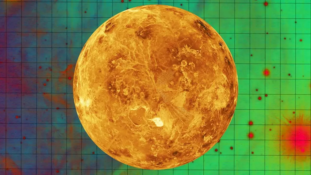 Market Developments: How to Prepare for — and Survive — Venus Retrograde