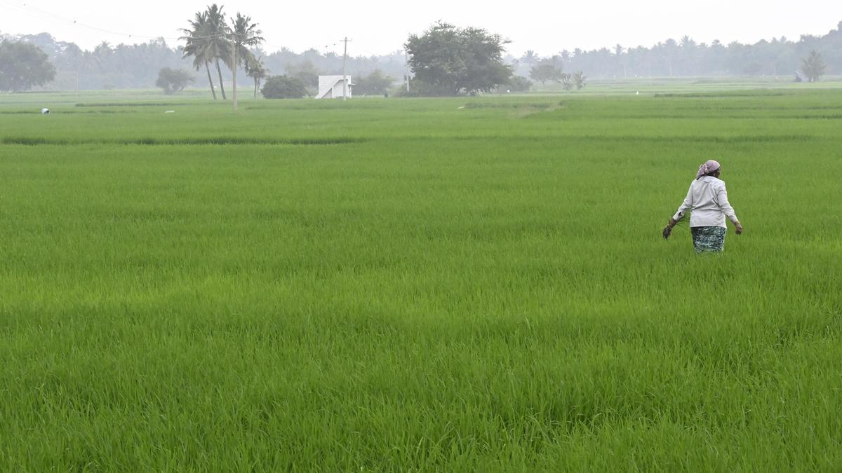 Enterprise Tech Shift: Dharapuram farmers unhappy over T.N. government’s approach on crop loan waiver and the Scaling Frontier
