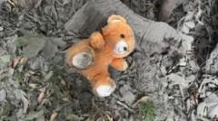 Zelensky: Russia's Deadly Glide Bomb Attack on Zaporizhzhia Kills 20, Including Children
