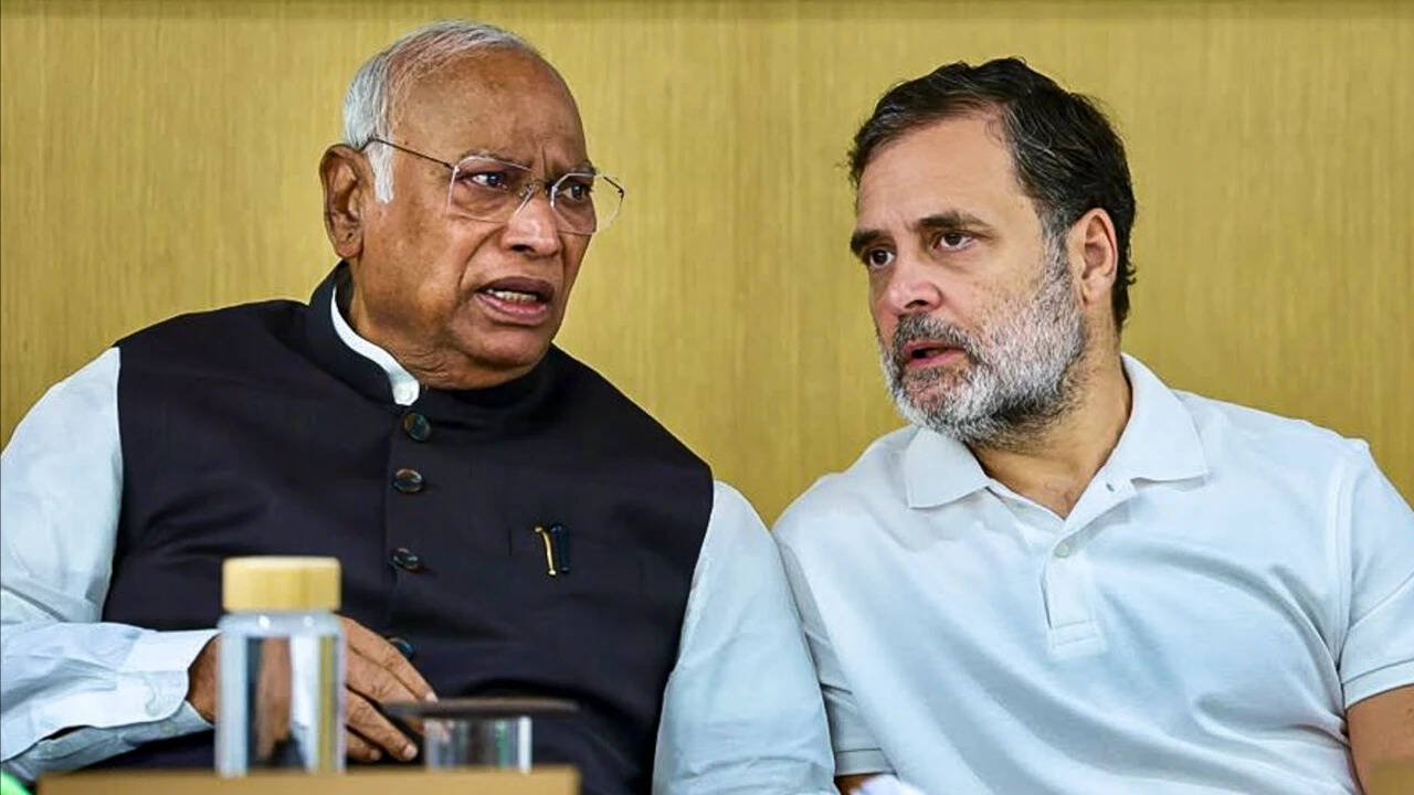 Global Perspective: At CWC, Rahul credits Cong for EC 'revelations', gives 'oppose & resist' message