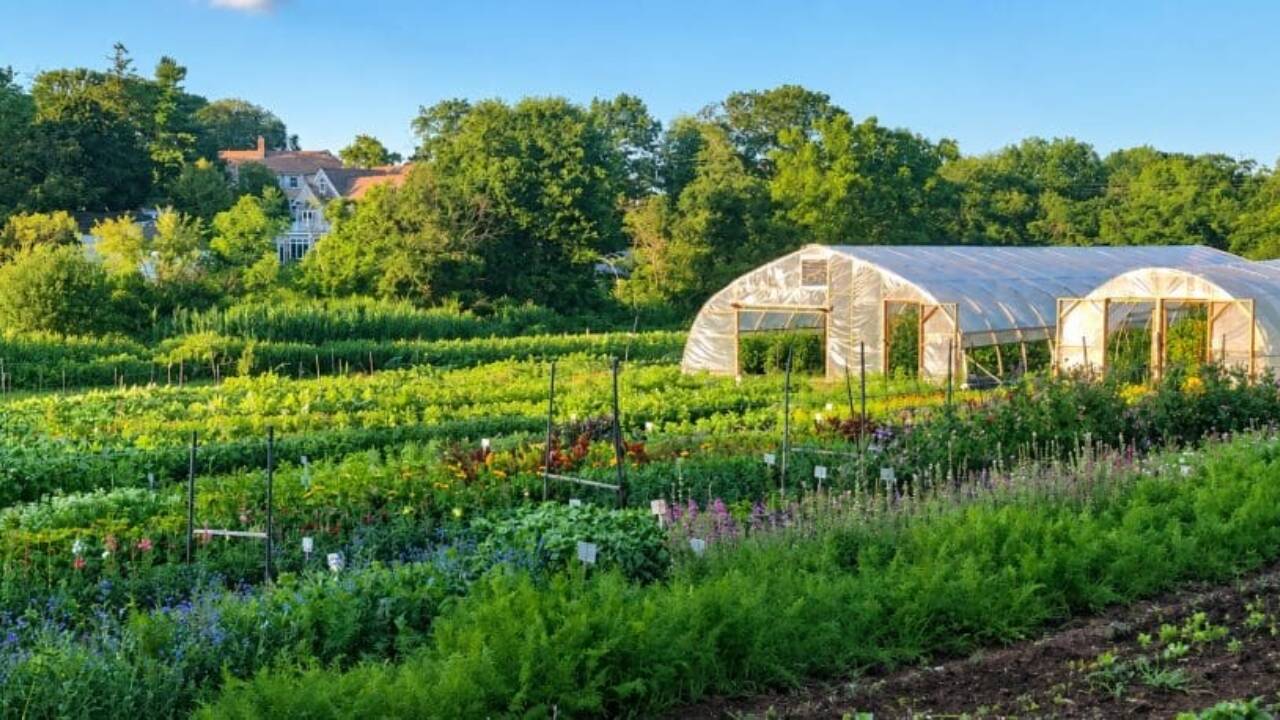 Massachusetts Family Farm Protected After $4.9 Million Rescue