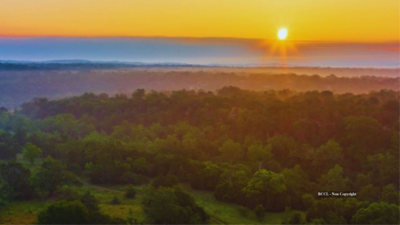 International Briefing: Family's 1938 Texas ranch anchors 6,600-acre conservation win