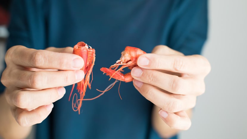 Prawn Allergy Breakthrough: Singapore Trial Tests Tolerance Build-Up