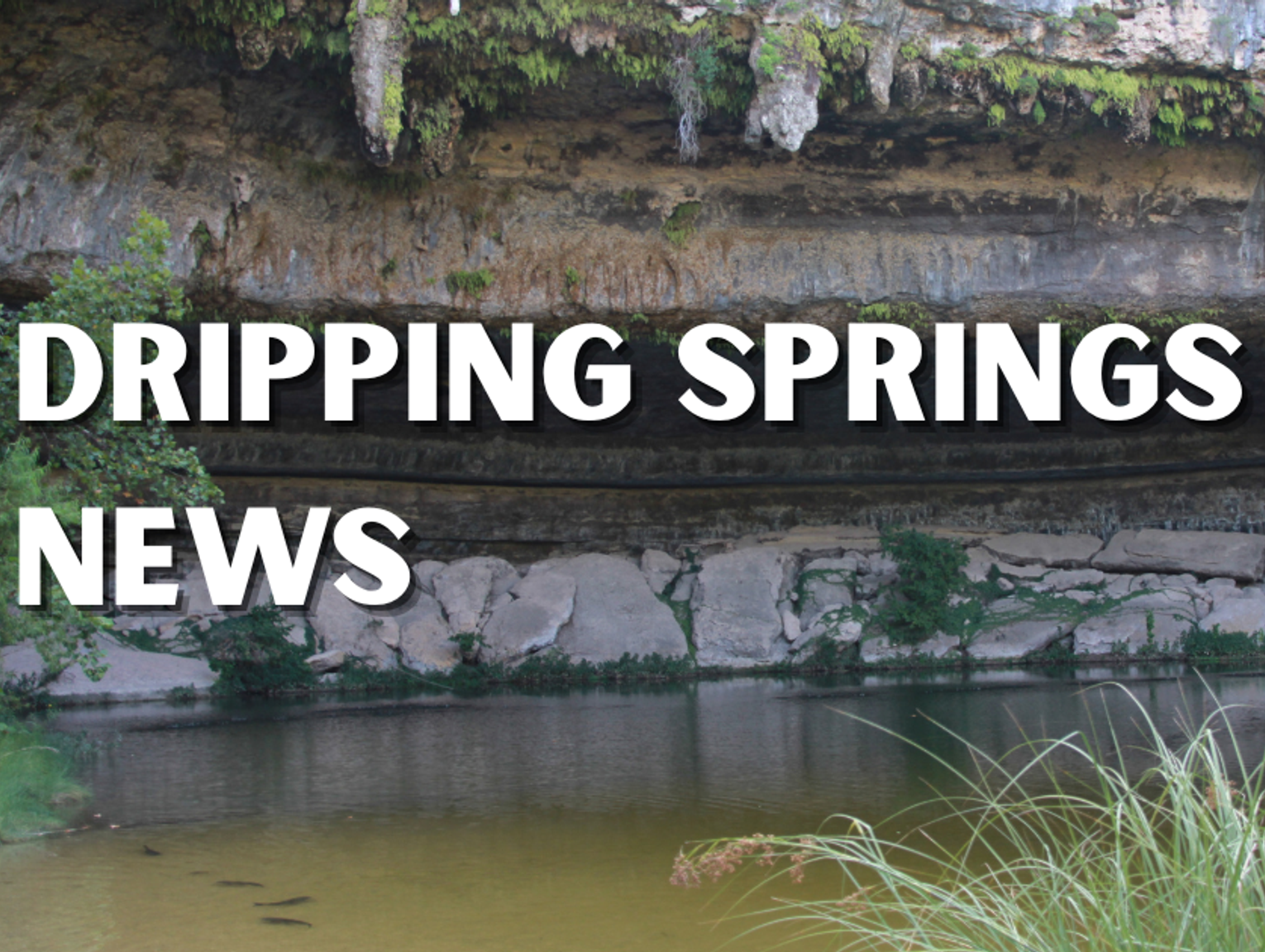Dripping Springs Elite Invites Community to Holiday Fundraiser Benefiting PAWS Shelter of Central Texas