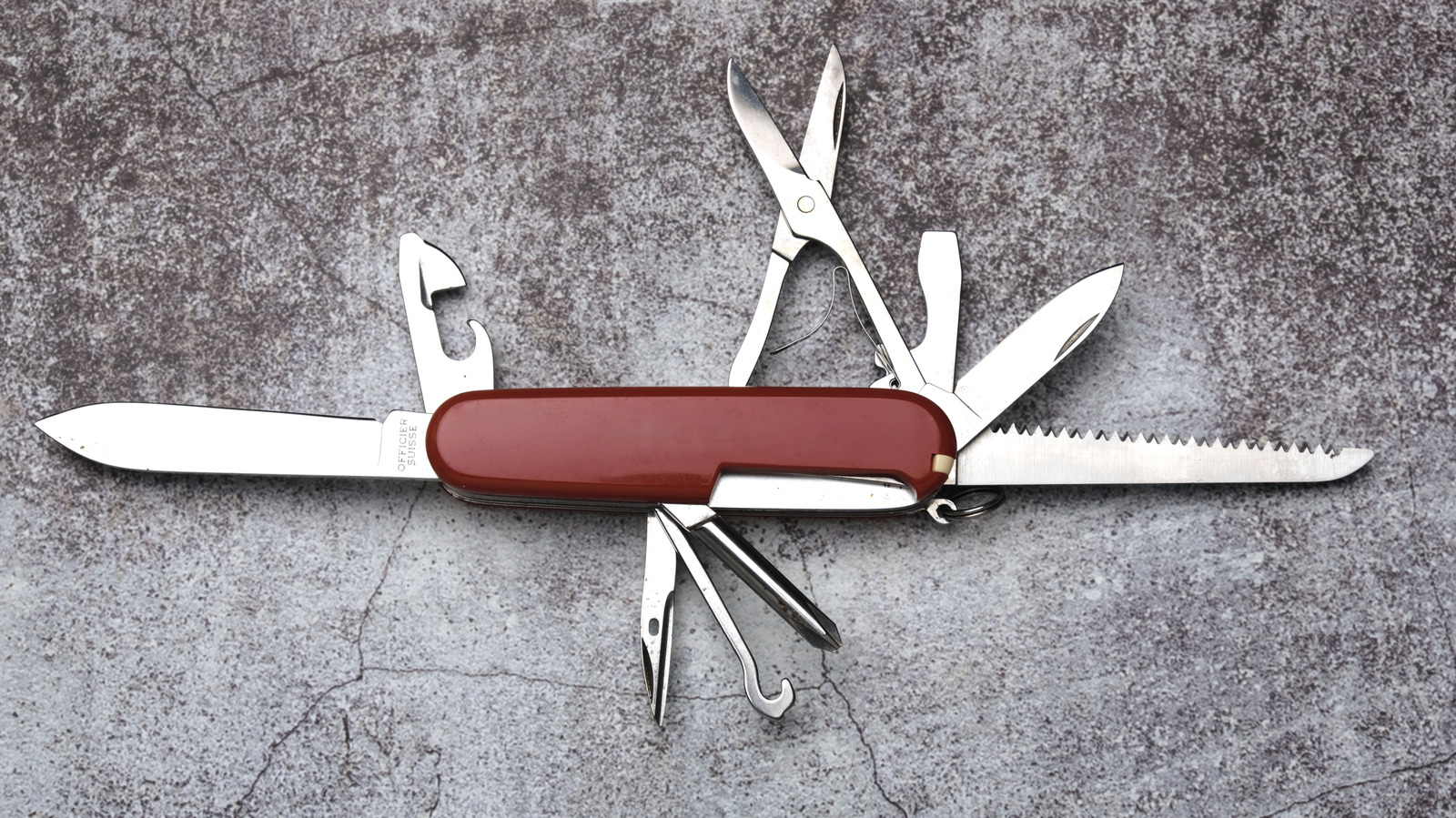 Can You Sharpen a Serrated Knife? Yes - Here's How to Do It Safely