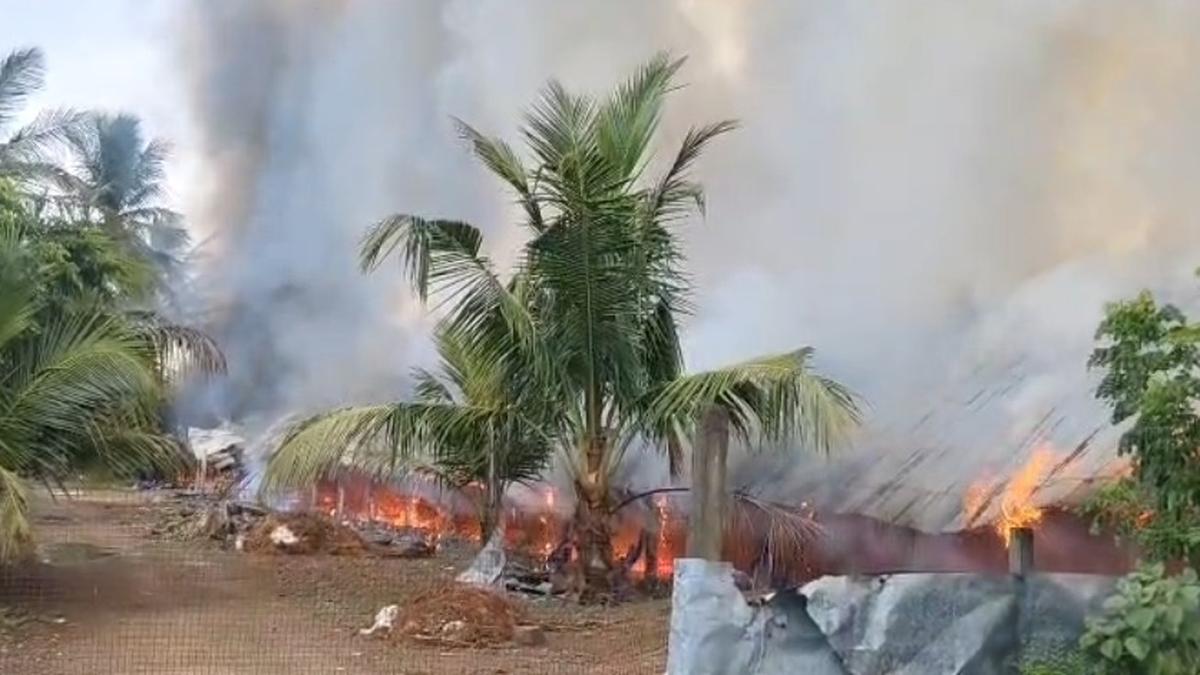 Massive Fire Engulfs Poultry Farm Near Cheyyar, Over 5,000 Chickens Killed