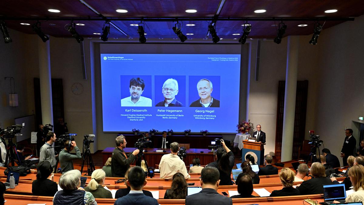 The People This Year’s Nobel Prizes Left Out as International Observers React