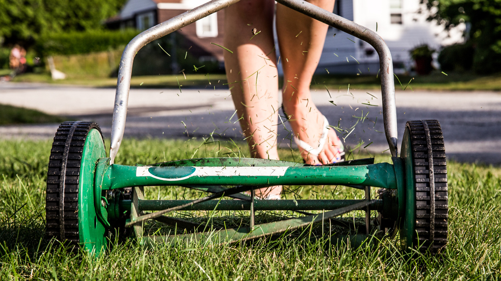 Economic Impact: 5 Reasons To Choose A Reel Lawn Mower For Your Small Yard