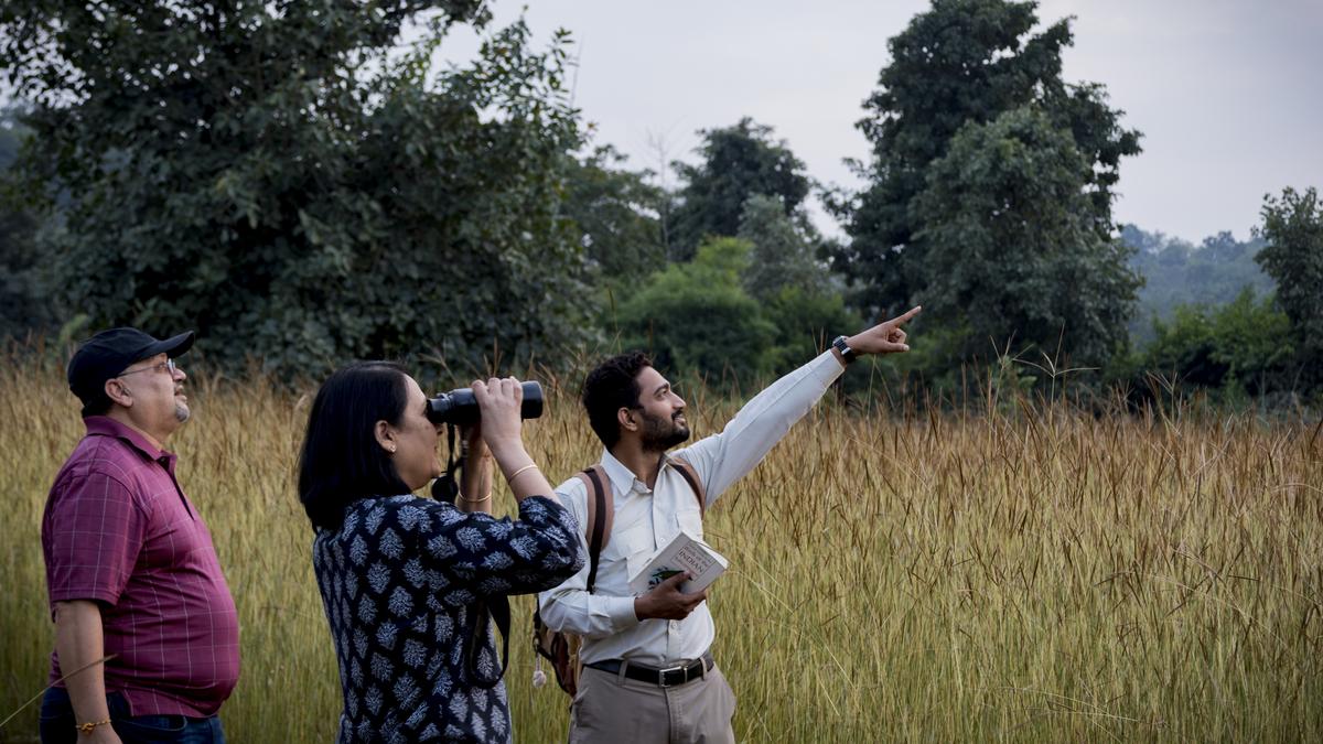 Tiger Tourism at a Crossroads: Inside Bandhavgarh’s Forests