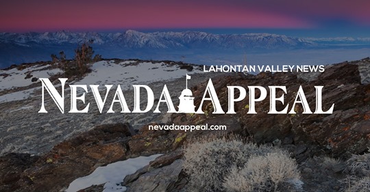 Corporate Strategy: Lyon County legal - 65014