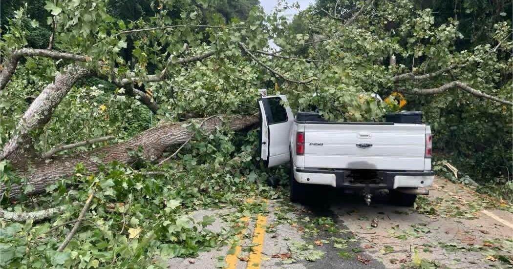 Tree Crushes Truck on Hwy. 332, Driver Injured