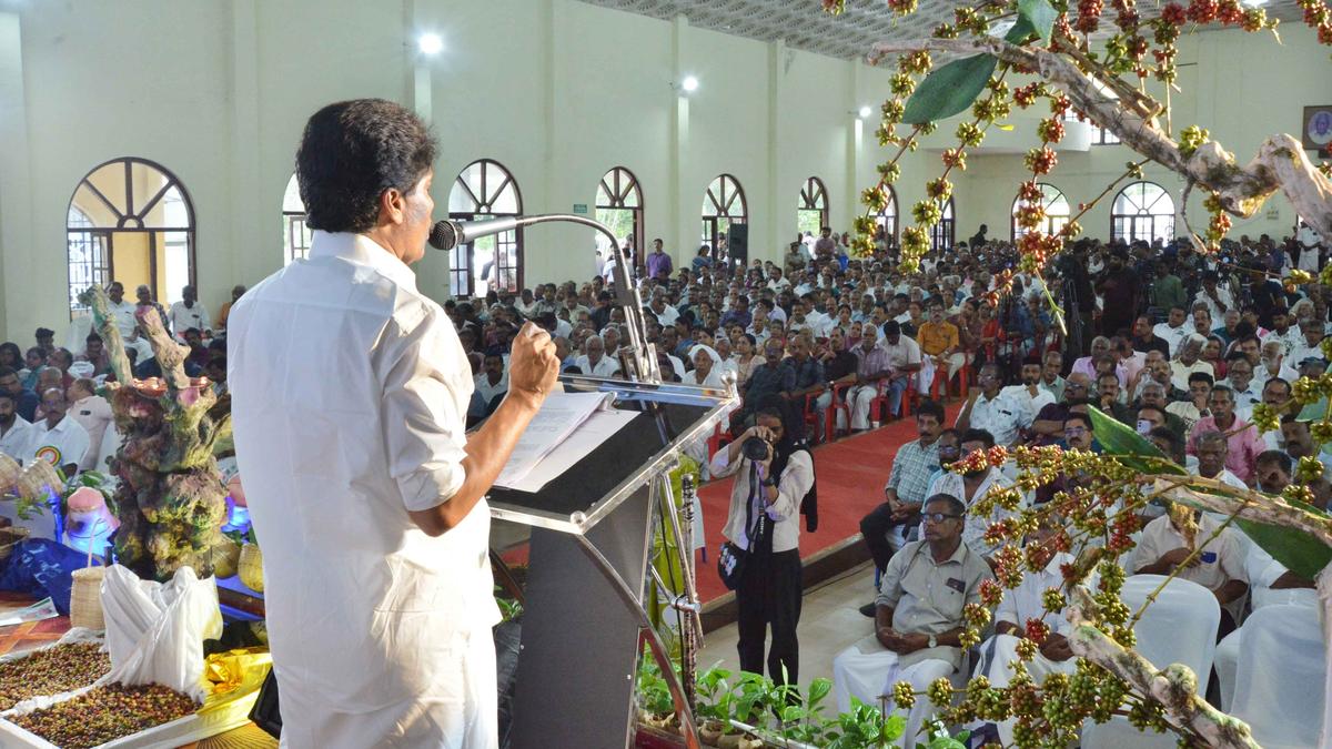 Crypto Markets in Focus: Wayanad coffee sector to get renewed push, says Minister Siddique Amid Shifting On-Chain Metrics