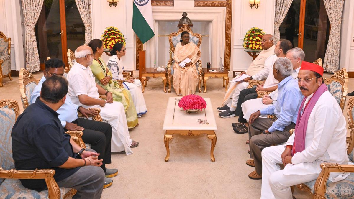 BJP Accuses Rahul Gandhi of 'Politically Motivated' Twist in INDIA Bloc Meeting with President