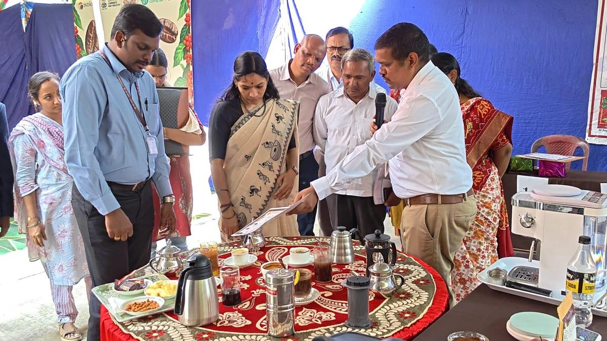 Developing Story: International Coffee Day: ASR district eyes better returns for coffee growers