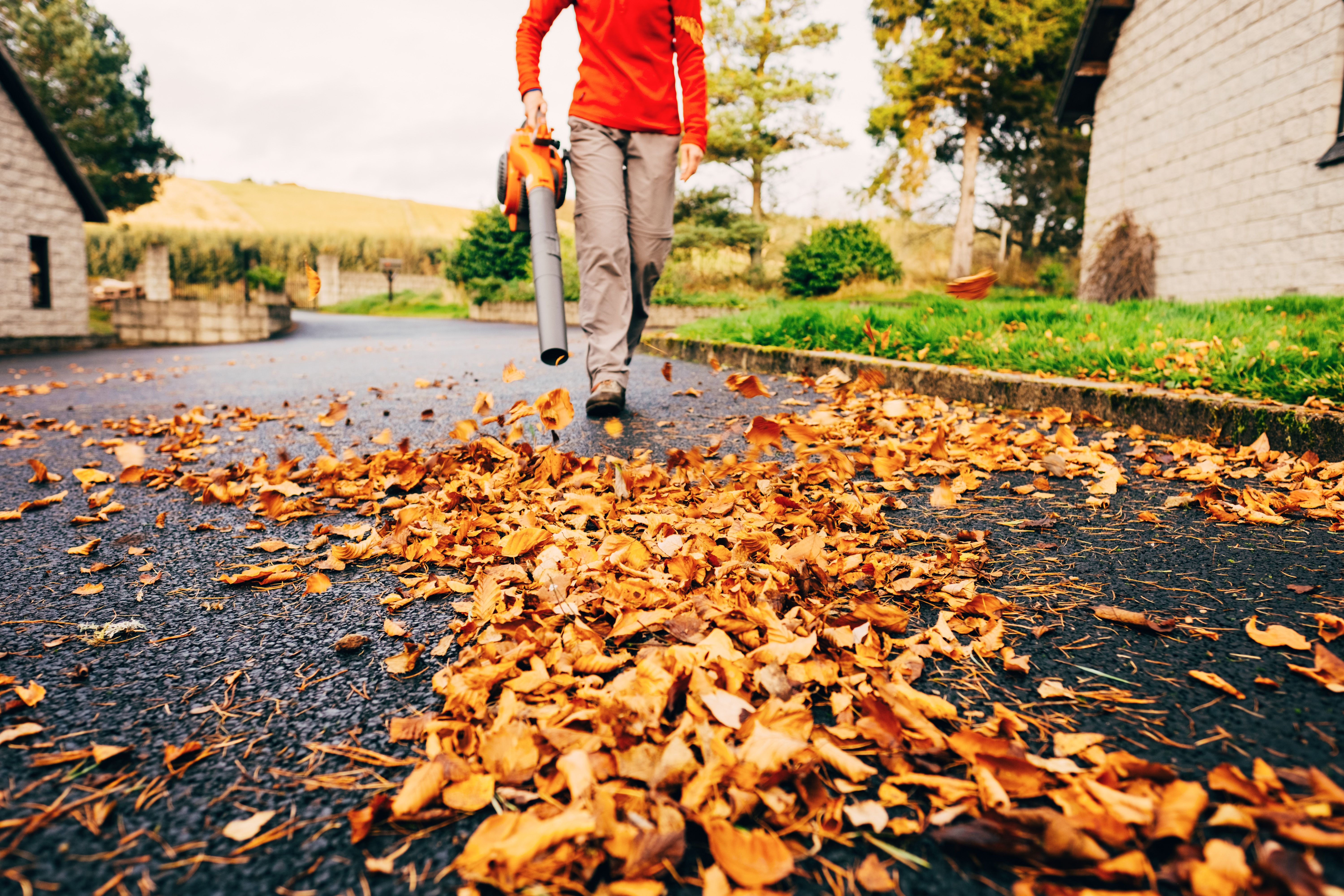 Corporate Strategy: Leaf Blower vs. Rake: Which Makes Fall Cleanup Easier?