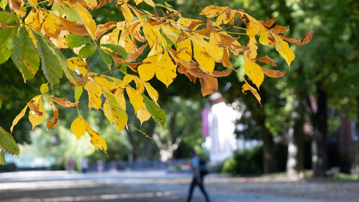 Corporate Strategy: Sunshine returns as temperatures near 70 for a gorgeous fall weekend