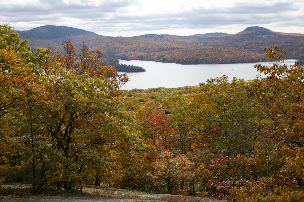 How to Better Plan Your Fall Foliage Outings in Maine as Market Analysts Weigh Next Moves