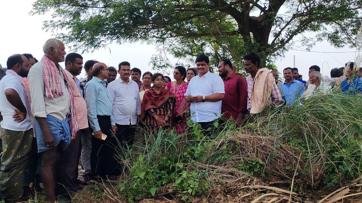 13,000 Acres of Crops Destroyed: Andhra Floods Wreak Havoc in Srikakulam