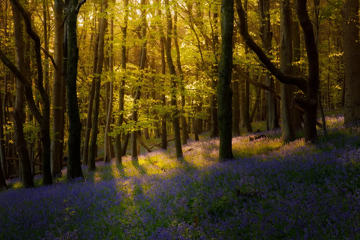 These Exquisite Landscape Shots Revealing the Hidden Beauty of Wales Are Sure to Give You Inspiration to Head Out and Take Photos