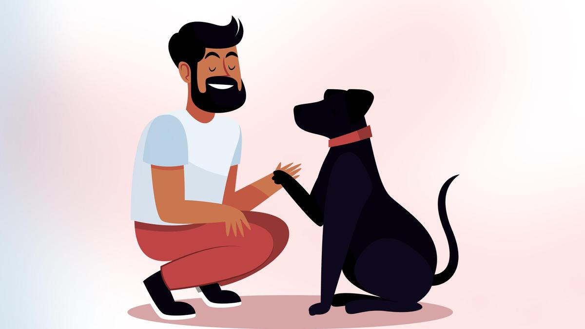 Kerala's Ernakulam District Panchayat Mulls Cap of Three Dogs Per Household in Sweeping Pet Regulation Overhaul