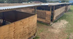 Tents Replaced As Work Begins on Cyclone-damaged Classrooms