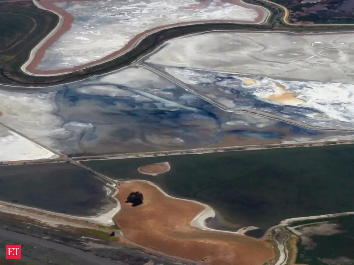 San Francisco Bay Cut Invasive Cordgrass by Nearly 98%; Native Ridgway’s Rails Then Expanded Into 4 Former Salt Ponds As Restored Marsh Habitat Returned