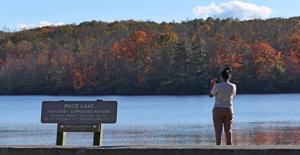 Why Temperatures Have Been Warmer Than Average Near Hickory. How Will That Affect Fall Foliage Has Sparked Heated Debate