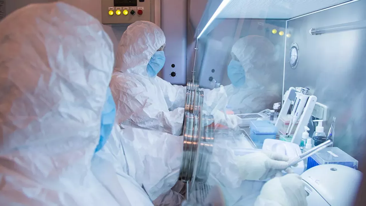 Russia Says No Epidemic Risk As WHO Pushes for Transparency on Plague Lab Death