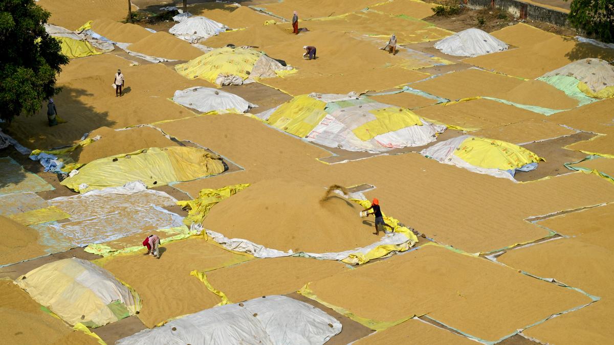 Farmers Revolt: SKM Rejects Rabi MSP Hike, Calls It '25 Paise a Kilo' Insult