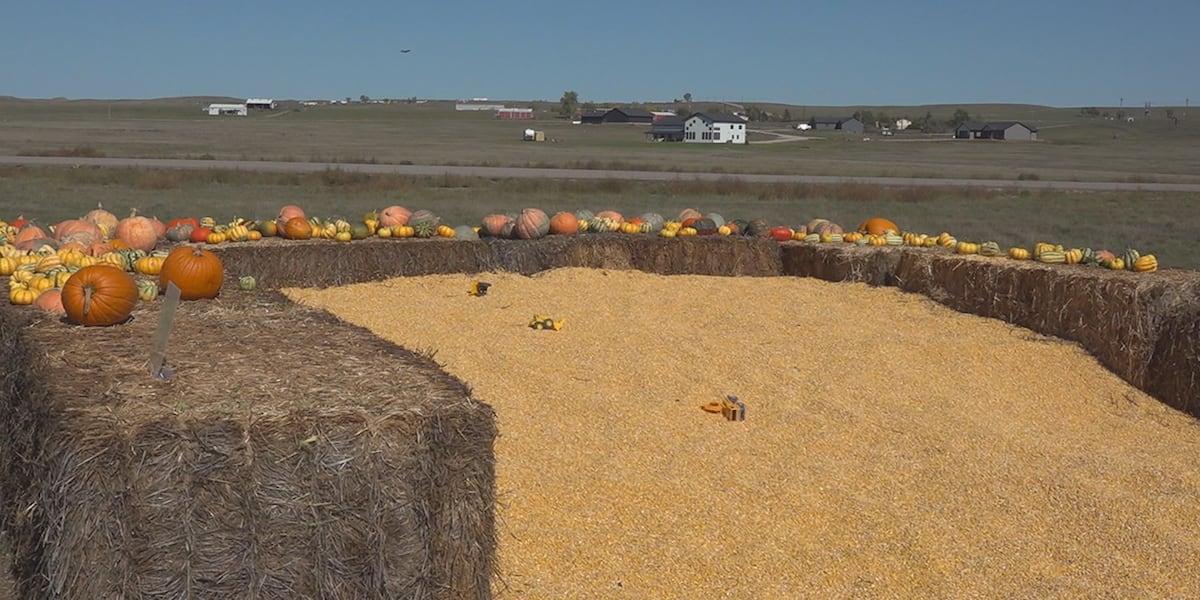 Rapid City Pumpkin Patch Offers Free Fun While Parents Tour Parade Home