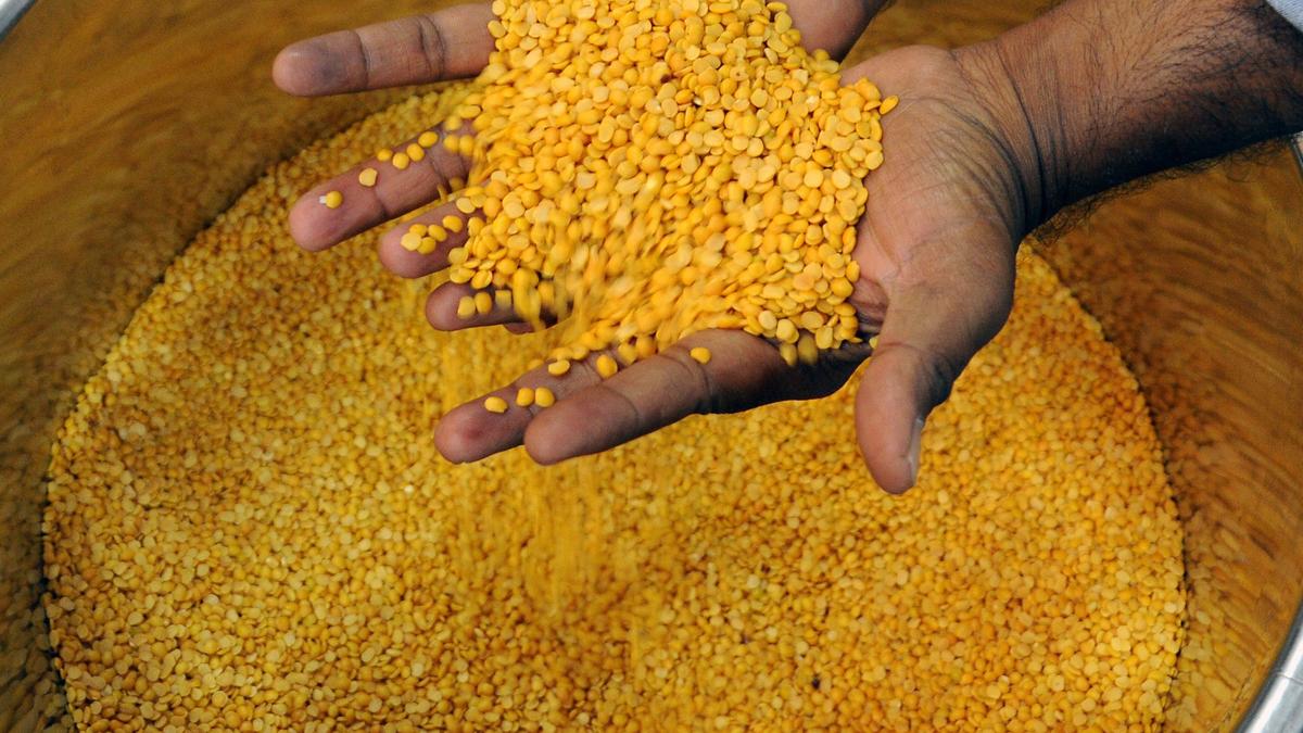 Dry Spell Pushes Rice and Toor Dal Price to New Highs Amid Mounting Global Focus