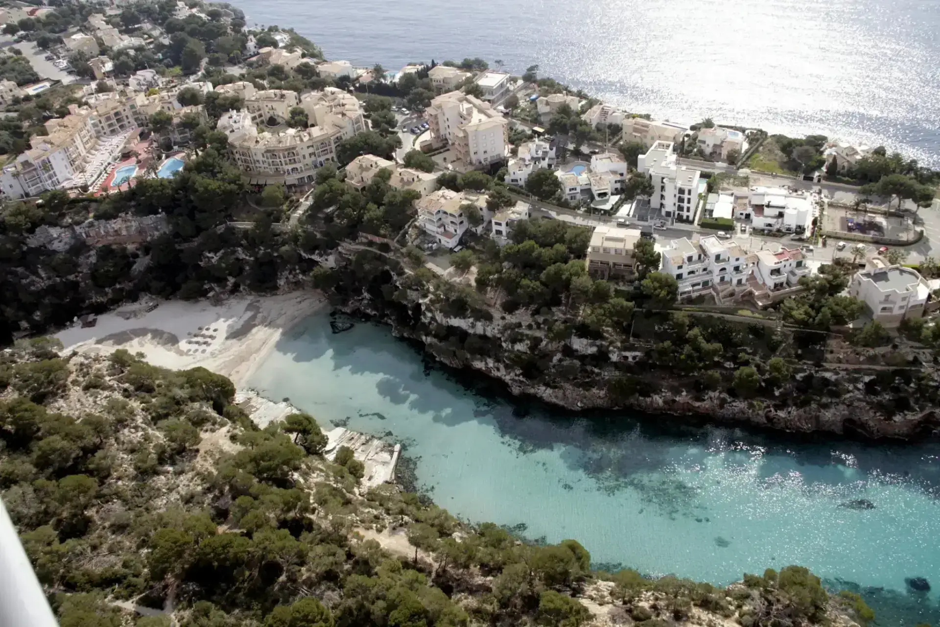 Biting Fish Attack Swimmers at Popular Mallorca Beach, Leaving Bleeding Wounds