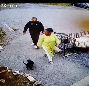 Economic Impact: Police continue probe of shelter break-in