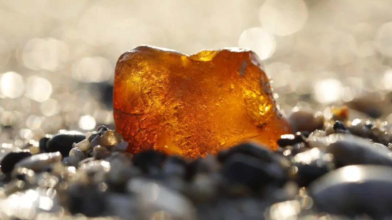 Woman Used €1m Amber Nugget As Doorstop for Decades, Thieves Missed It