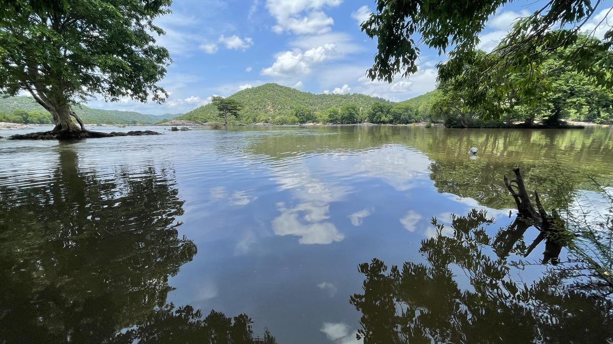 Cauvery Water Management Authority Upholds Cauvery Water Regulation Committee Direction to Karnataka To Unveils 3,000 Cusecs a Day to Tamil Nadu for 15 Days in Major Strategic Push