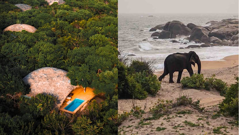 Global Perspective: Just four hours from Singapore, Sri Lanka offers two very different safari experiences