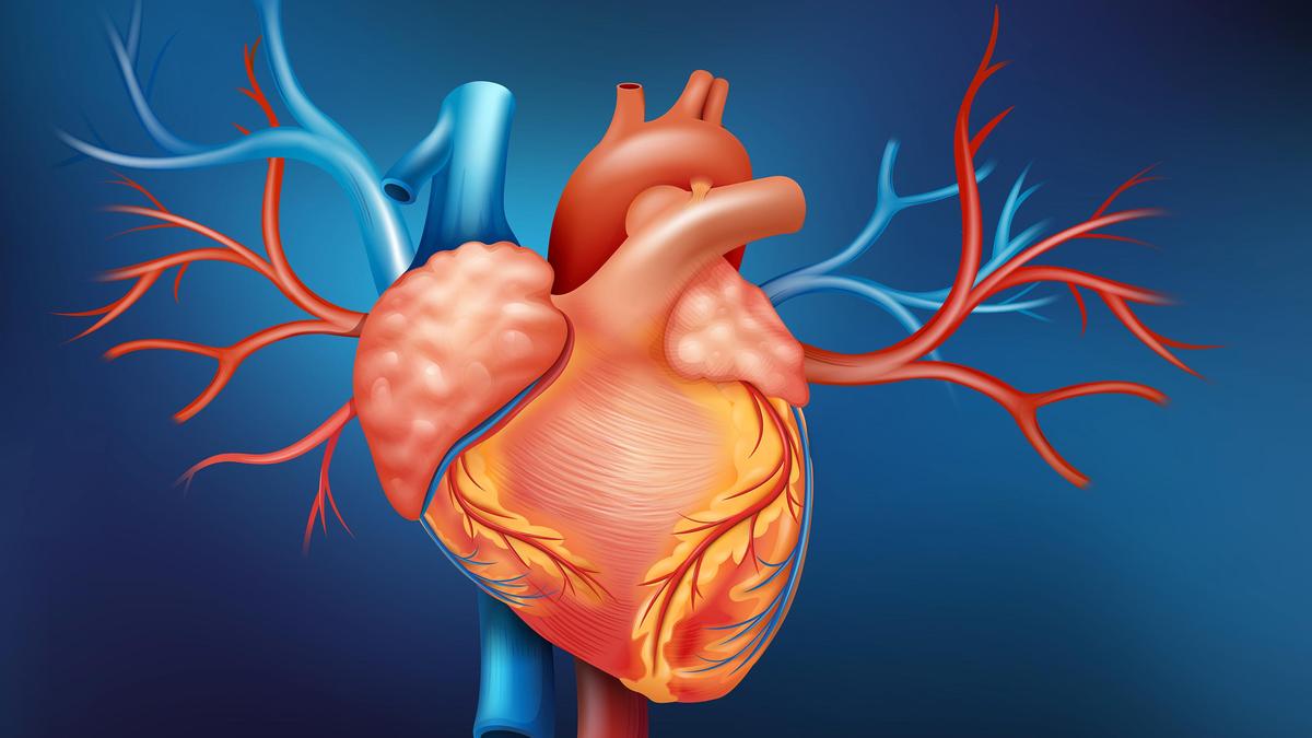 Kerala CM's Angioplasty Warning Sparks Doctor Backlash: 'Don't Delay Emergency Care'