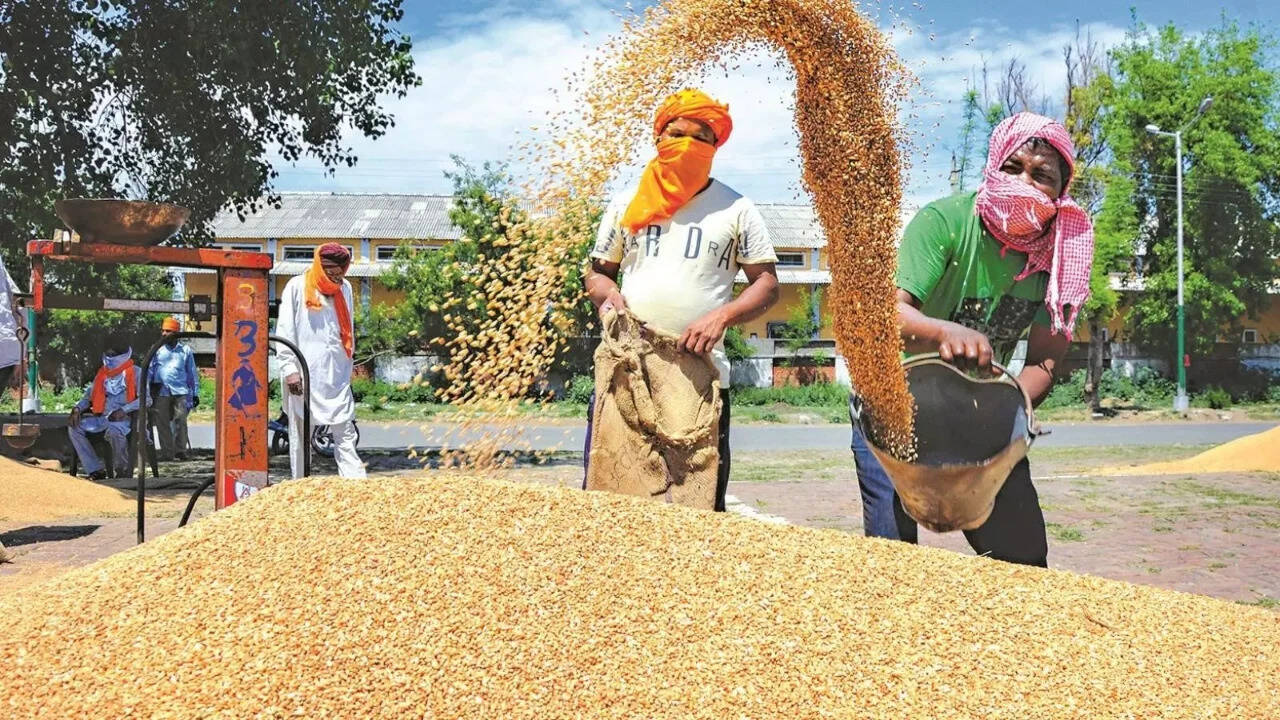 25p/kg Wheat MSP Hike an 'insult': Samyukta Kisan Morcha