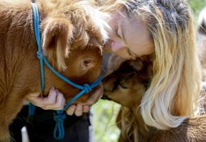 Corporate Strategy: A place for animals, humans to heal