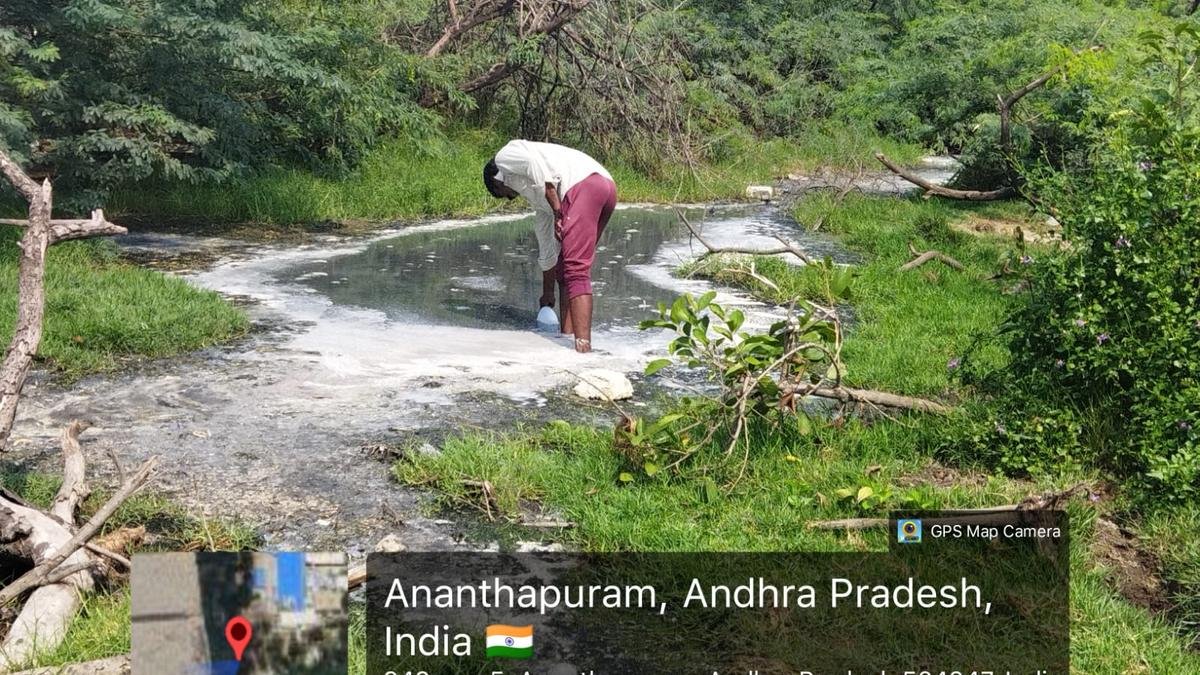 APPCB moves to shut two Nellore prawn processing units for releasing untreated wastewater