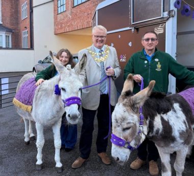 Donkeys Steal the Show at Warwick War Animal Exhibition