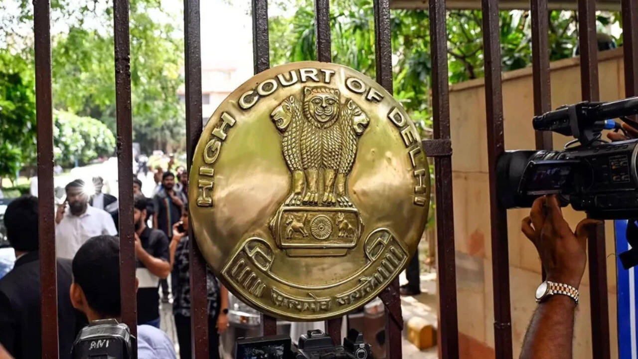 Visa Doesn't Create Absolute Right to Enter India, Says Delhi High Court