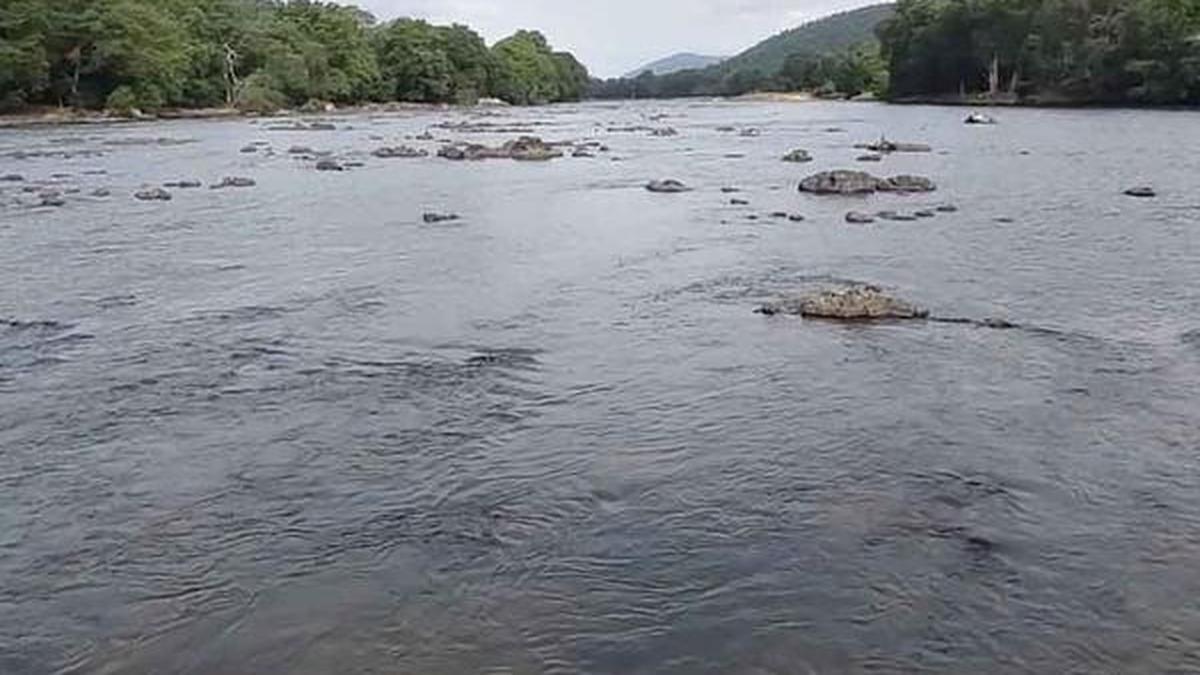 Water Released from Ganekal Reservoir for Drinking Purposes