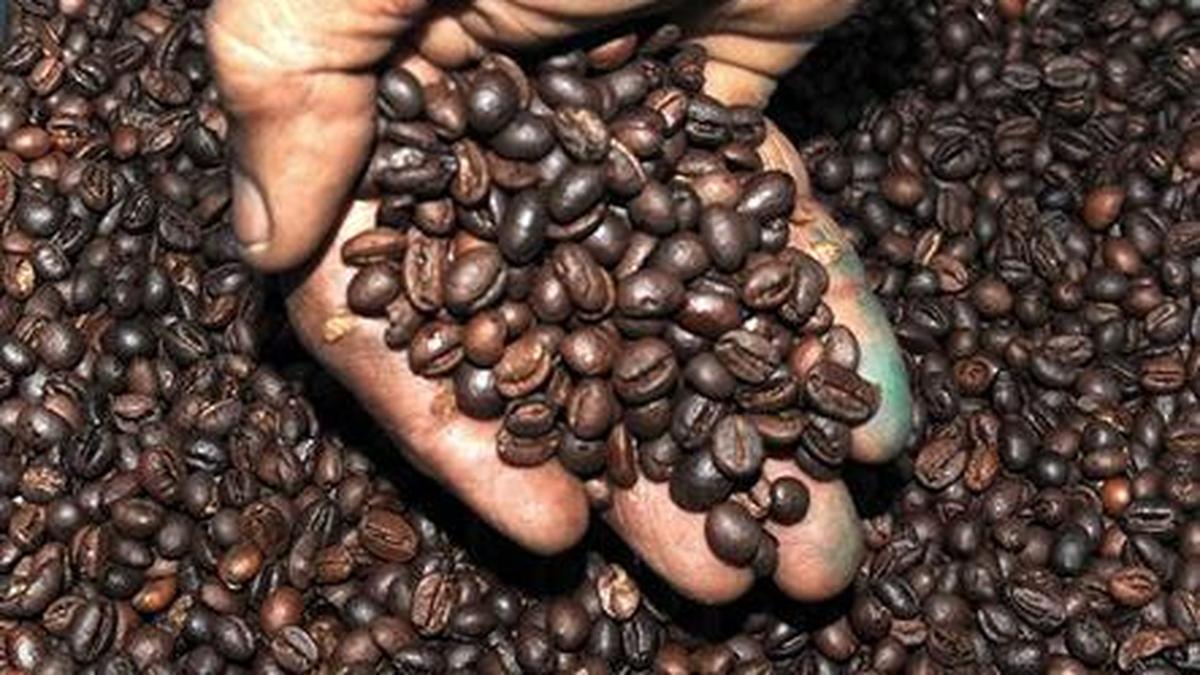 Western Ghats Land Use Row Erupts: UPASI Demands Clarity on Agricultural Exemption in Draft ESA Notification